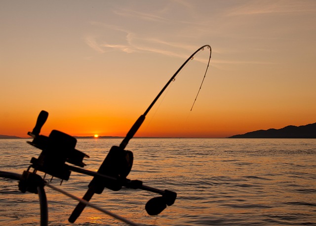 fishing rod doubled over