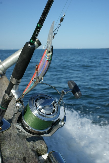fishing rod with lure attached