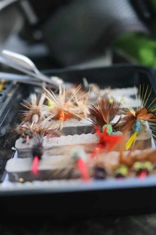 fly box with lures