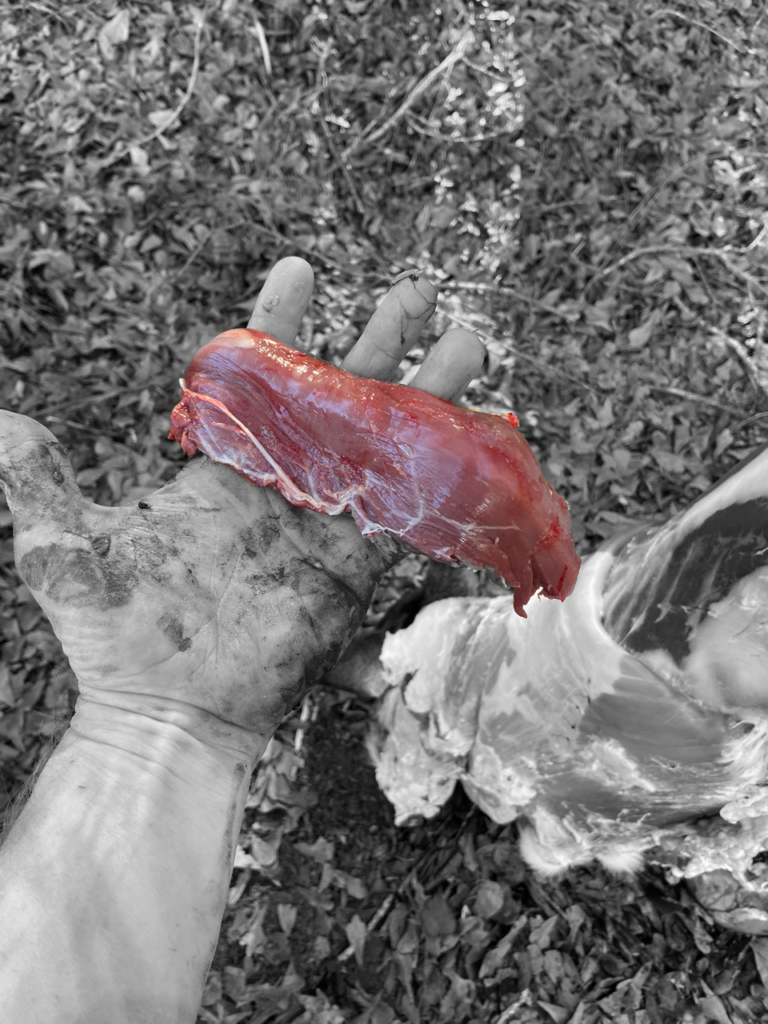 venison tenderloin