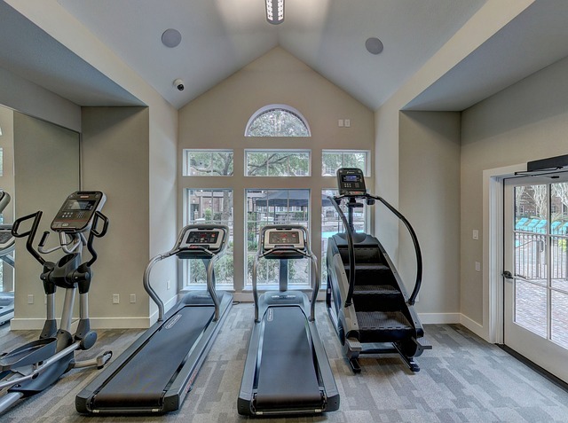 gym equipment