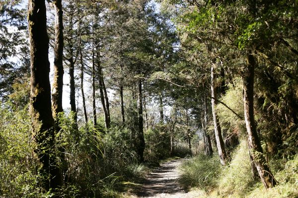 creating trails on rural land