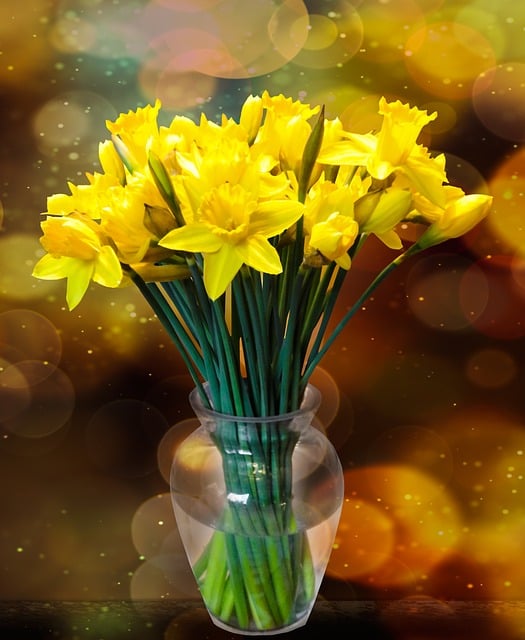 daffodils in a vase