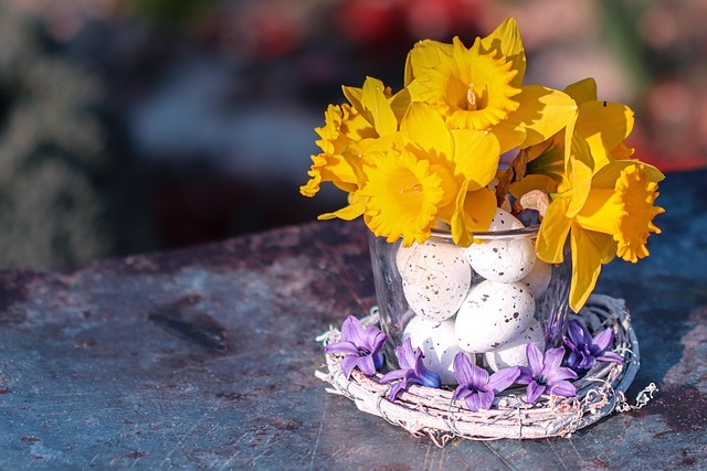 daffodils with eggs in vase