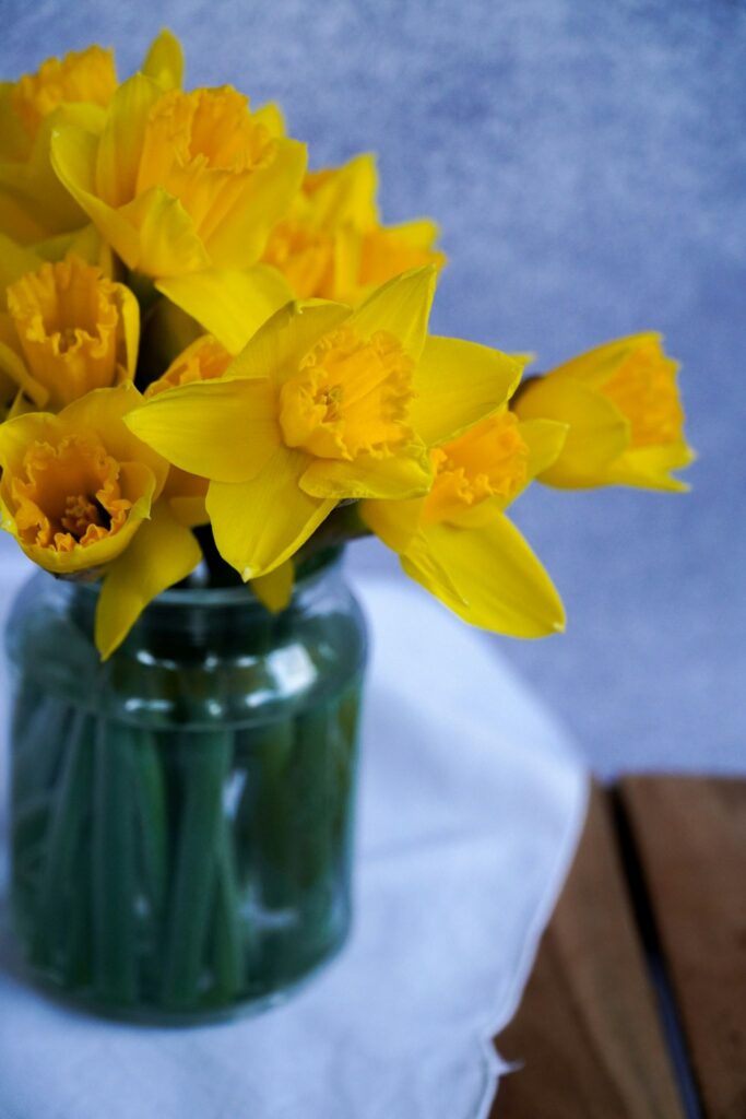 some daffodils in vase