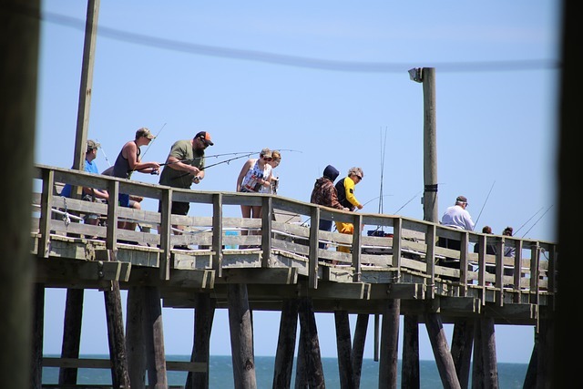 people fishing from pier 1