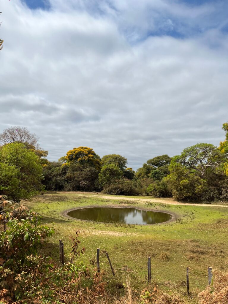 pond on rural land