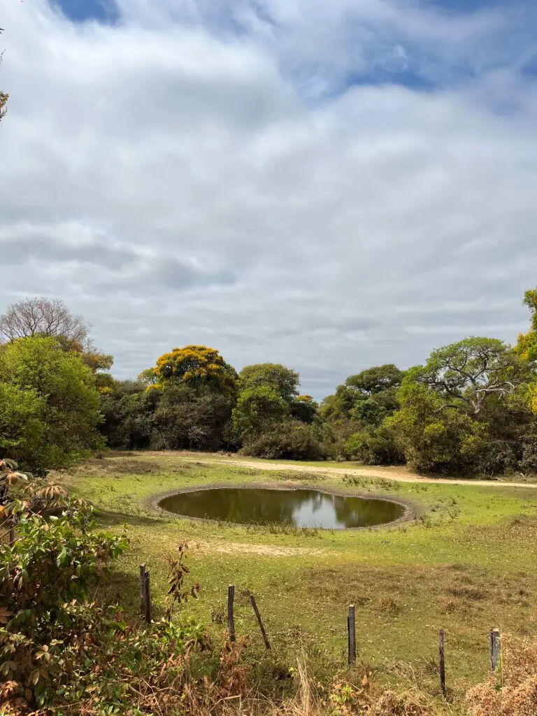 pond on rural land