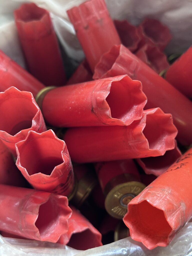 red shotgun shells